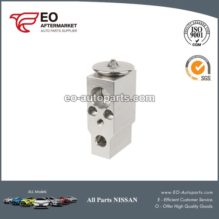 Nissan Pathfinder Expansion Valve