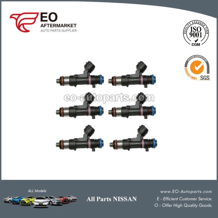 Nissan Pathfinder Fuel Injectors