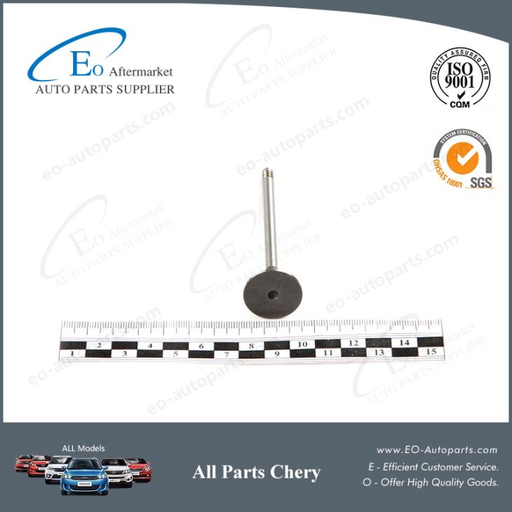 Intake Valve Exhaust Valve for Chery T11/Tiggo/MVM X33 481H-1007011BA