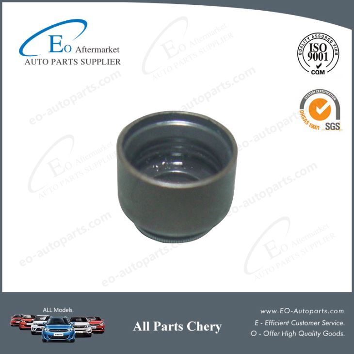 Valve Oil Seal 481H-1007020 for Chery A13 Fulwin/Forza/Bonus/MVM 315