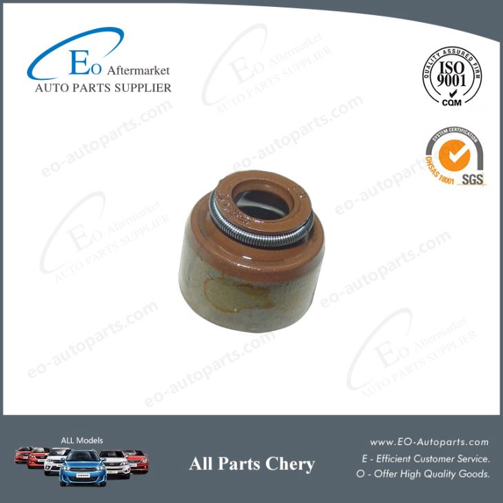 Chery Auto Parts Valve Stem Oil Seal SMD184303 for Chery B11 Eastar