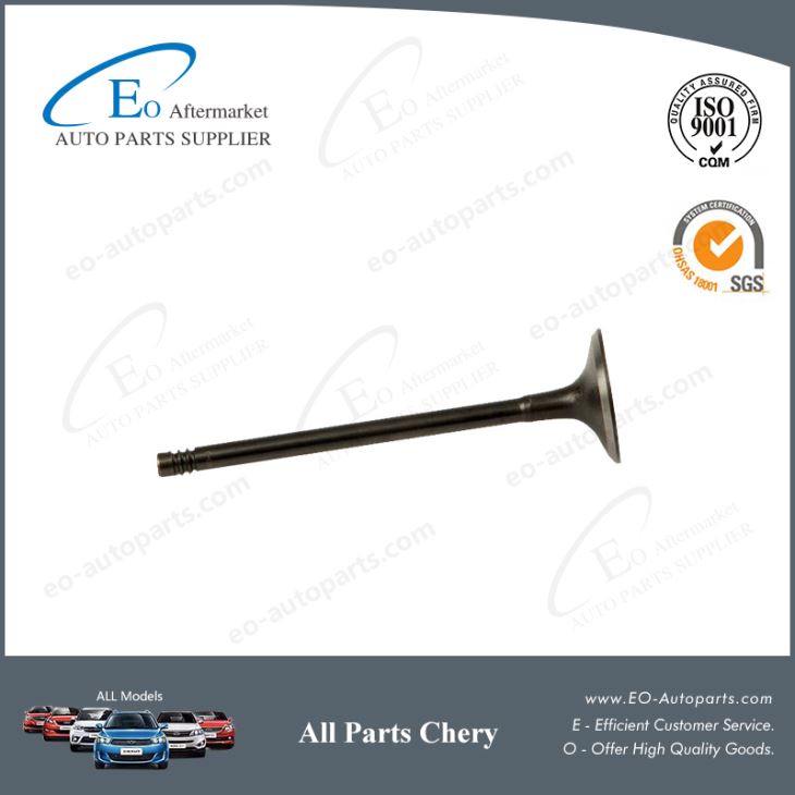 Intake Valve and Exhaust Valve 372-1007011 for Chery MVM 110/QQ3/S11/Sweet