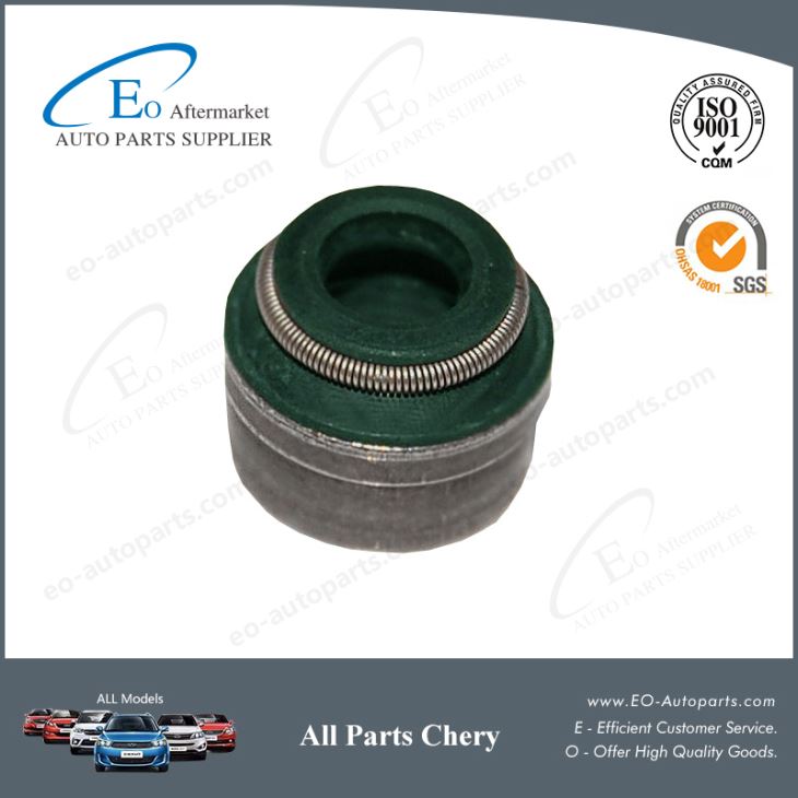 Chery Parts Valve Oil Seal 372-1007020 for Chery MVM 110/QQ3/S11/Sweet