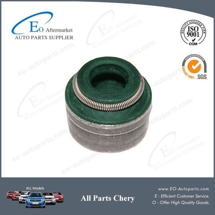 Chery Parts Valve Stem Oil Seal 481H-1007020 for Chery S12 Kimo Arauca