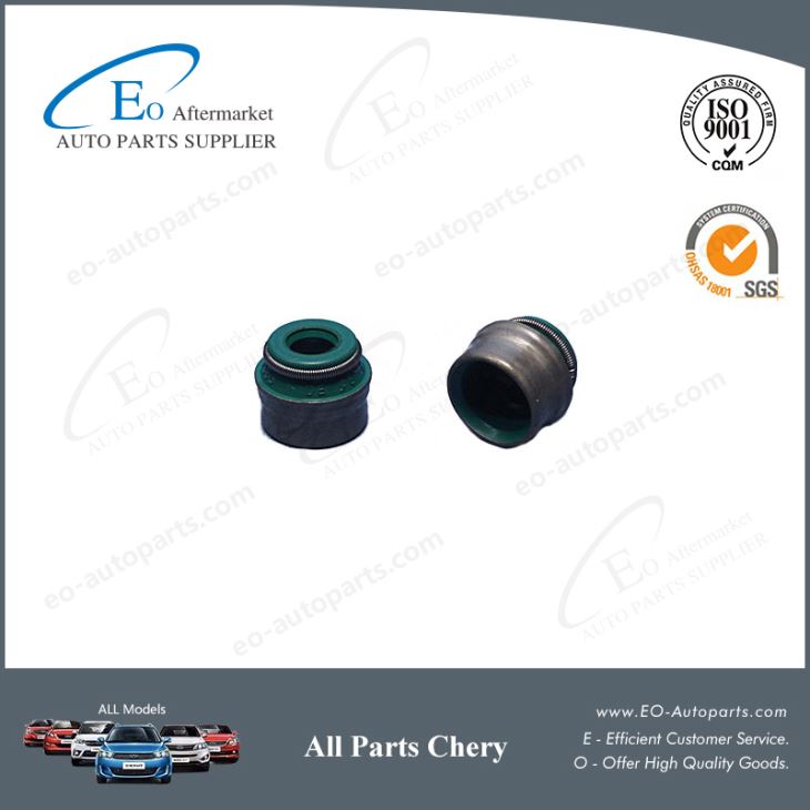 Valve Stem Oil Seal 481H-1007020 for Chery S21/QQ6/Speranza A213/Jaggi