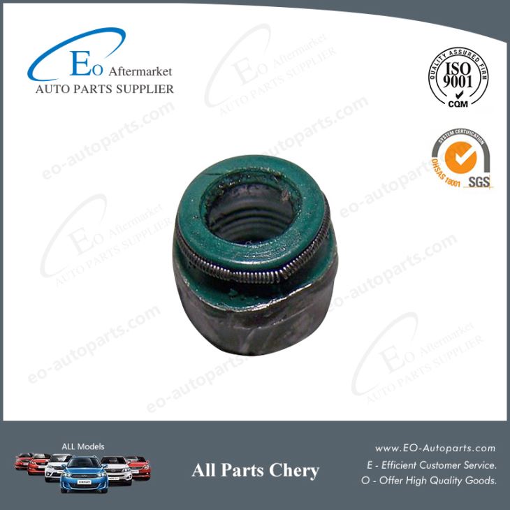 Chery Spare Parts Valve Oil Seal 481H-1007020 for A3 Orinoco M11 Tengo