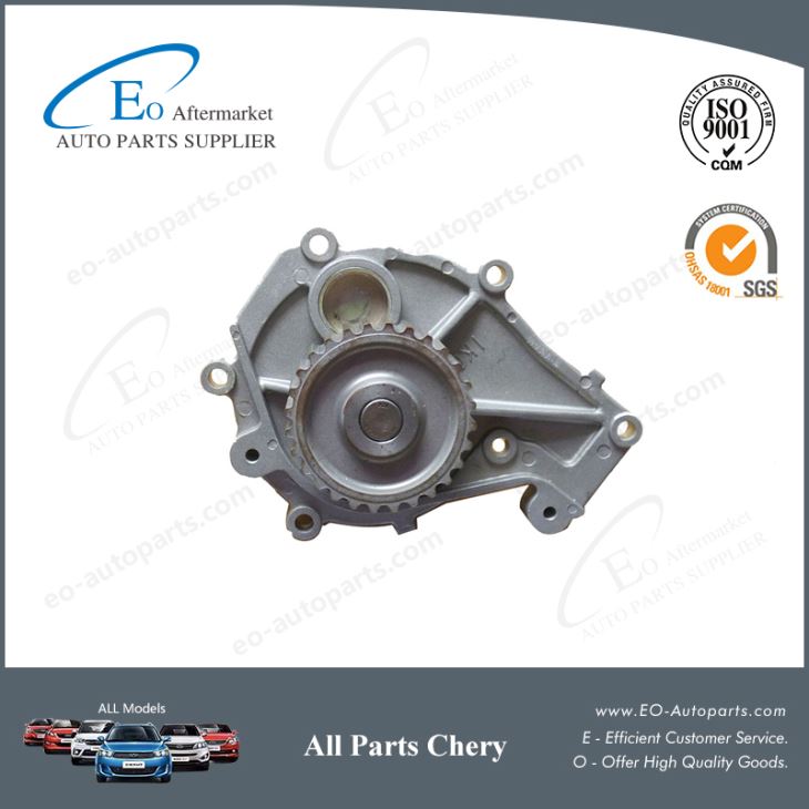 Brand New Parts Water Pump 481H-1307010 For Chery M11 A3 Tengo Orinoco