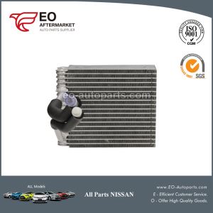 Nissan Pathfinder Evaporator