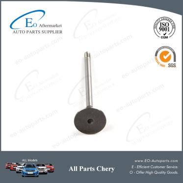 Intake Valve Exhaust Valve 473H-1007011BA for Chery A13/Forza/Bonus