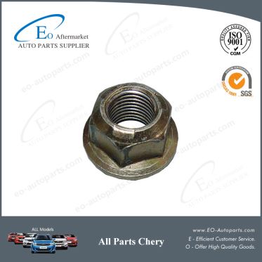 Lever Nuts and Rear Axle Nuts for Chery B14 Cross Eastar V5 AQ330B14