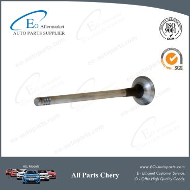 Intake Valve 481H-1007011BA 473H-1007012BA for Chery S12 Kimo Arauca