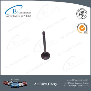 Manufacturer Intake Valve Exhaust 473H-1007011BA for Chery S18D Indis