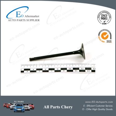 High Quality Intake Valve 473H-1007011BA for Chery S21/QQ6/Speranza A213/Jaggi