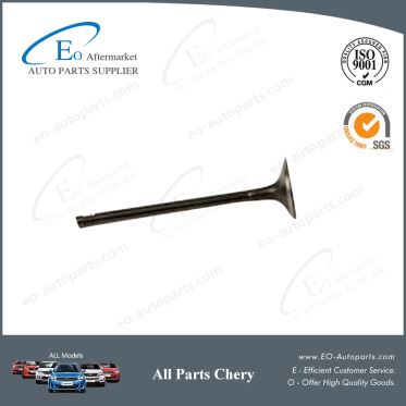 Intake Exhaust Valve 481H-1007011BA 481H-1007012BA for Chery Skin M12 Cielo