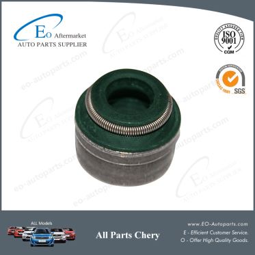 Best Quality Valve Oil Seal 481H-1007020 for Chery Skin M12 Cielo J3