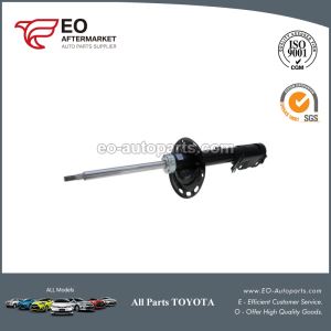 Toyota Camry Shock Absorber